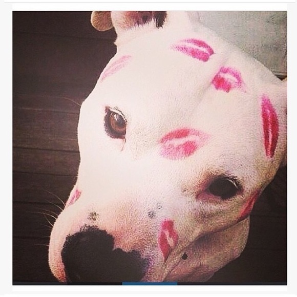 A little about me | feedback here, please - Picture 10 of 15